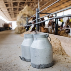 Isplaćeno gotovo 43 milijuna KM potpora poljoprivredi u Federaciji BiH